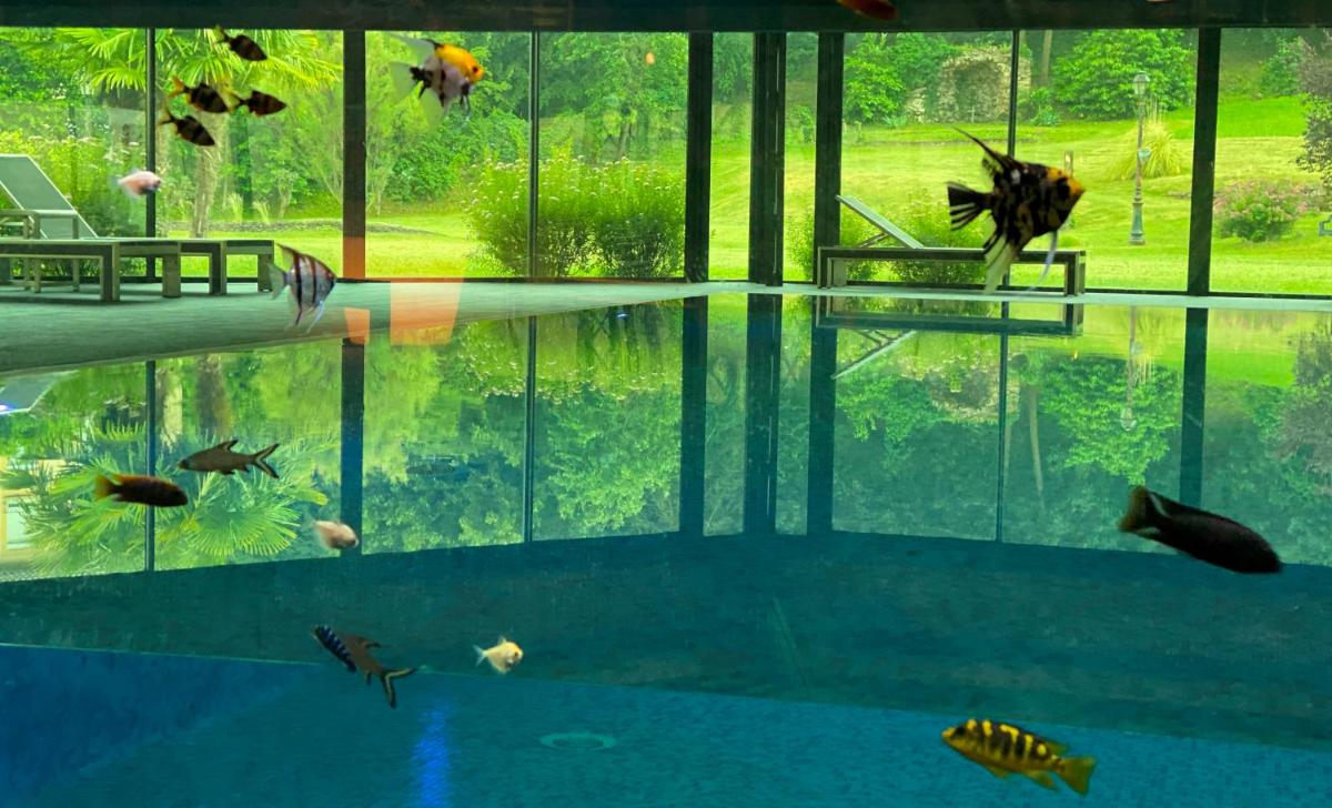 Piscine de l'établissement Le 1837 ou située à proximité