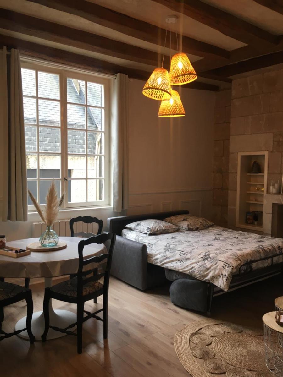 Vieux Tours, Charmant T2 40m2, 4 pers, lumineux - Housity