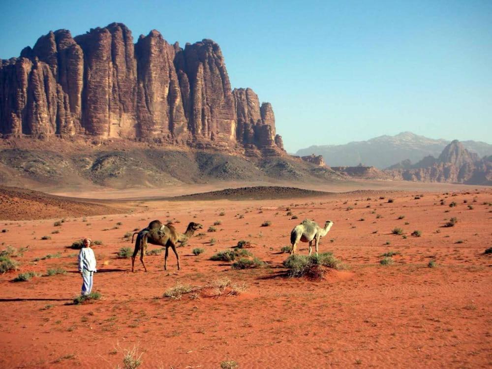 Abdullah desert trips - Housity
