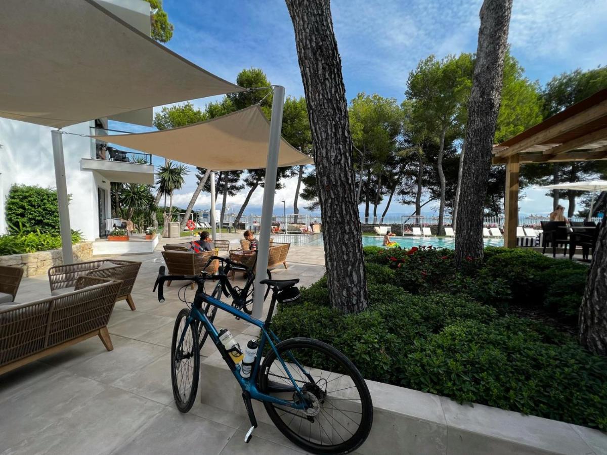 Imagen de la galería de Sofia Alcudia Beach, en Puerto de Alcudia