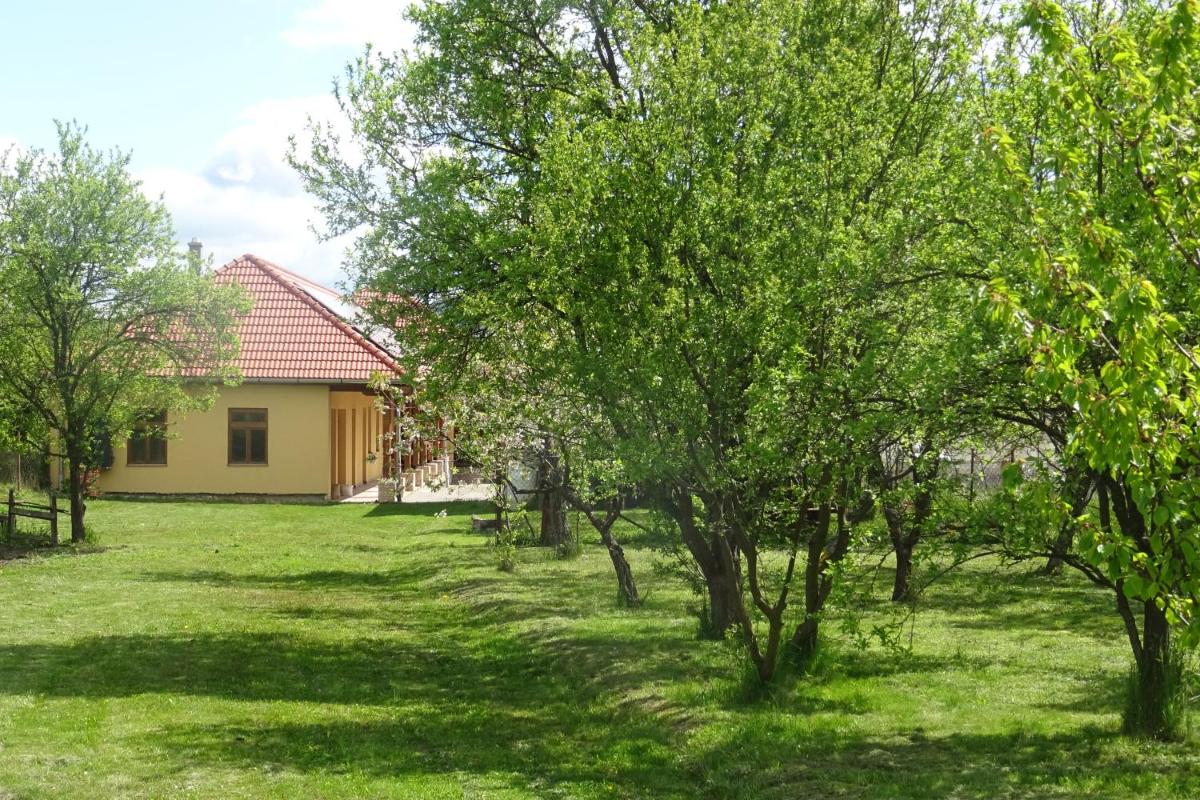 Borostyán Vendégház - Housity