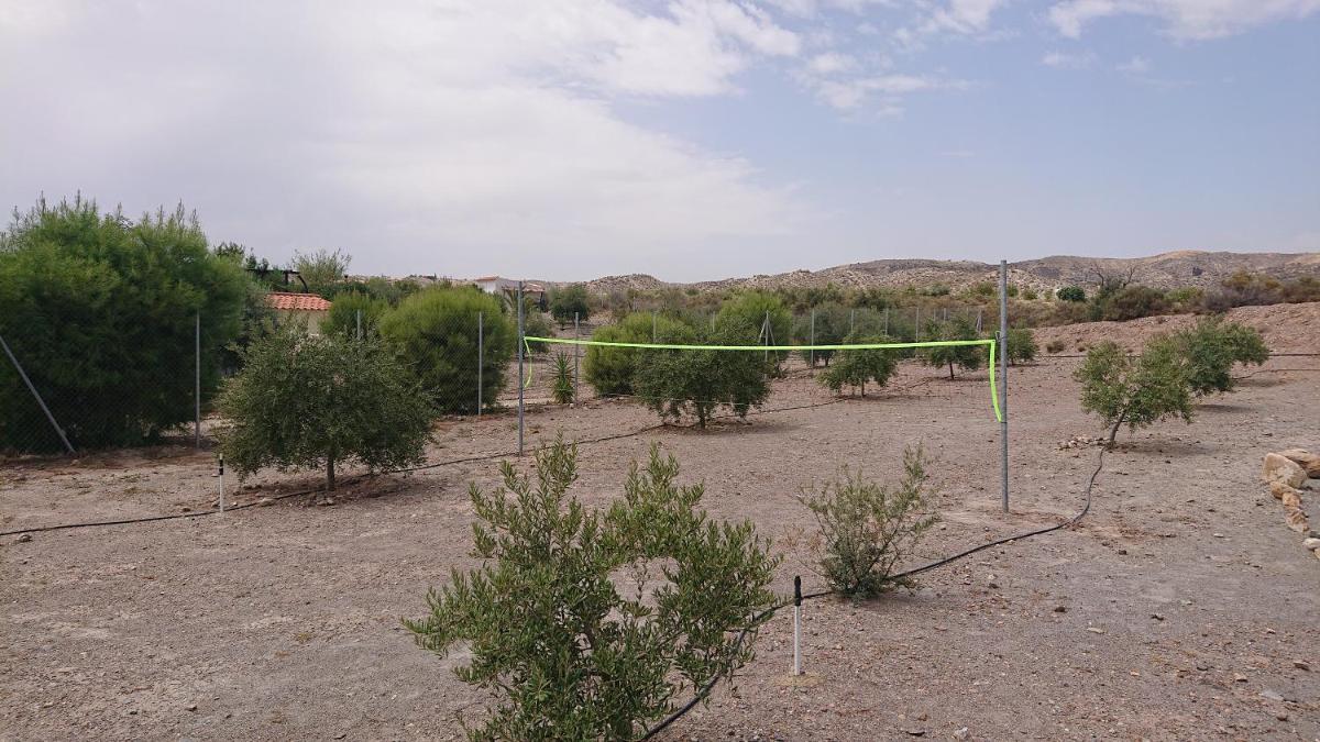 Casa Rural Mas Solana - Housity