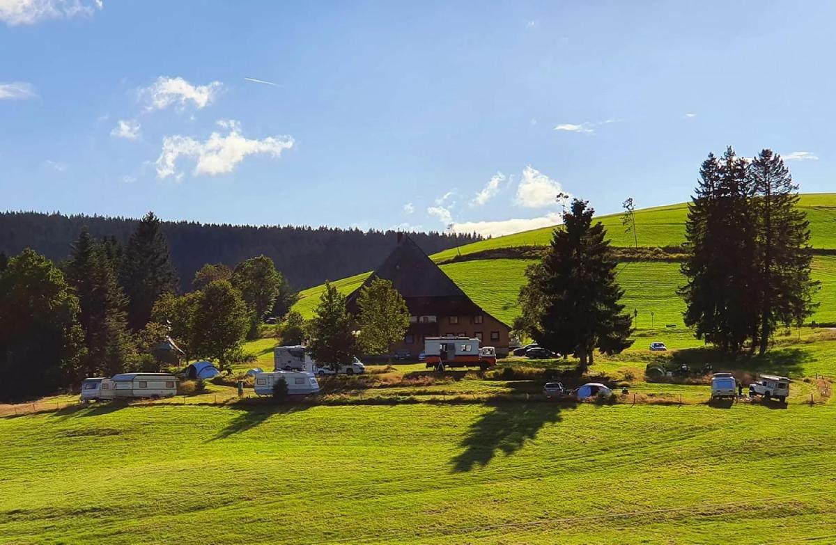 Zum Wilden Michel - Housity