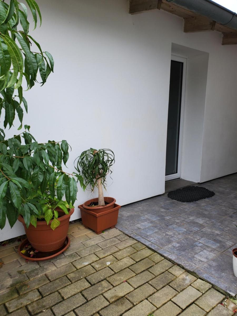 Apartman Starý Liskovec - Housity