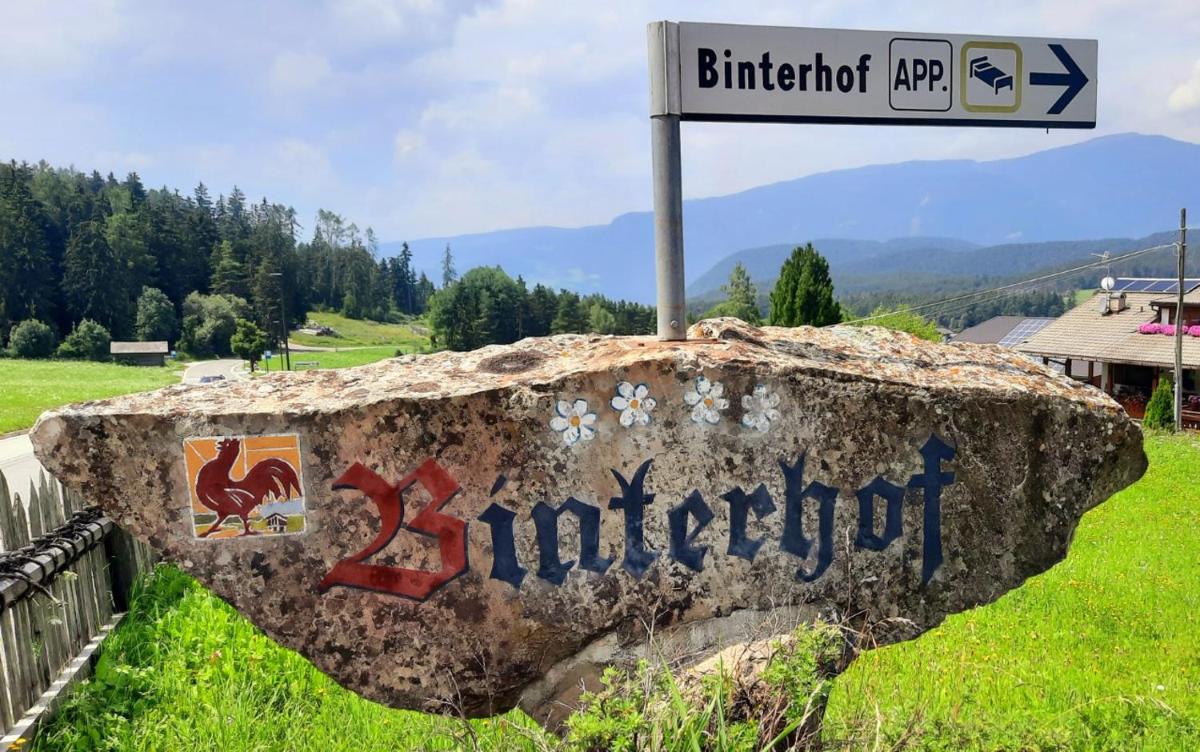 Binterhof ROSALPINA APP - Housity