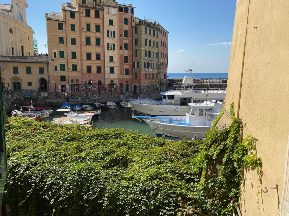 LIGURIA HOLIDAYS - La Casa di Judi - Housity