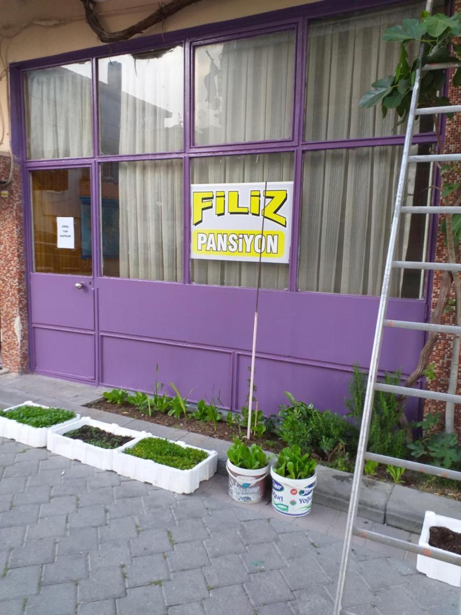 FİLİZ PANSİYON - Housity