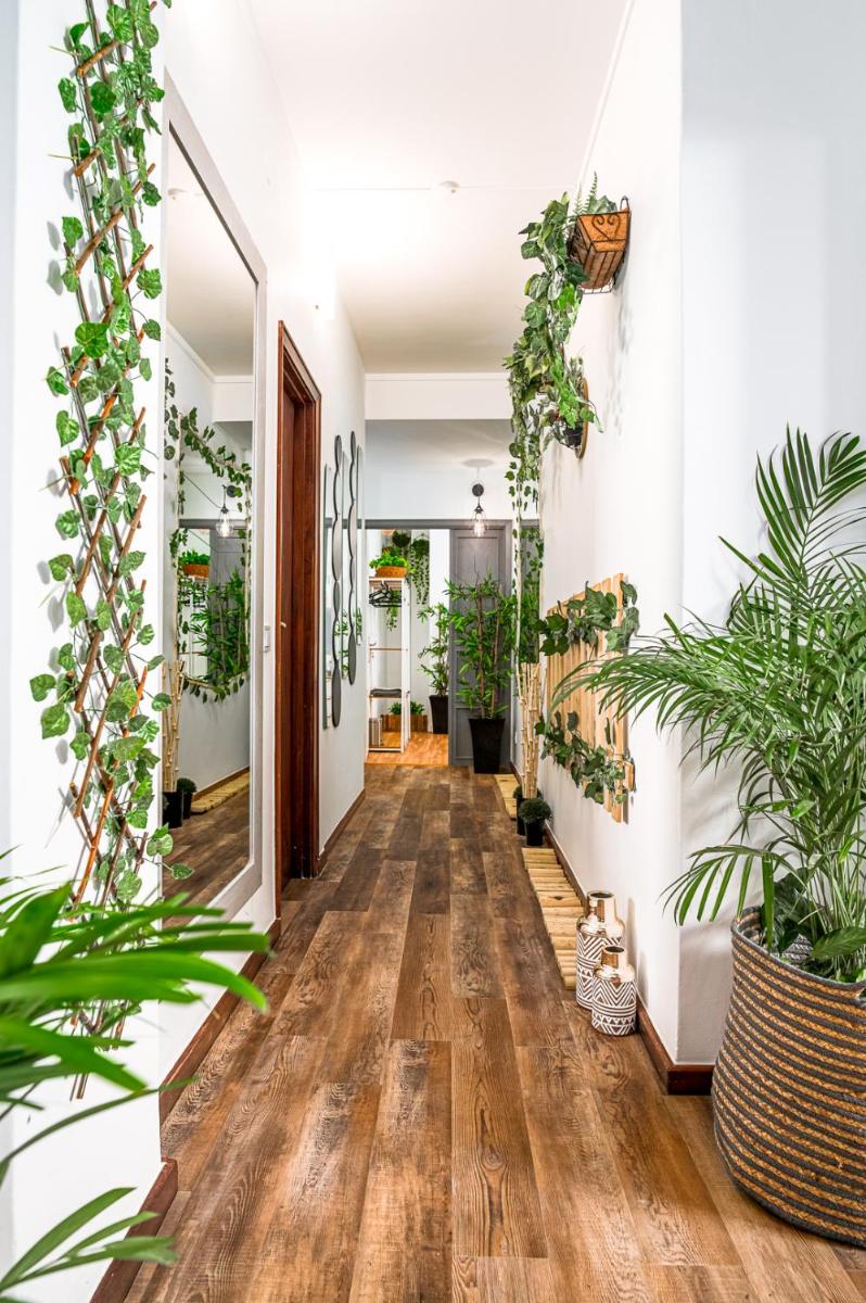 Avenue View Rooms - Housity