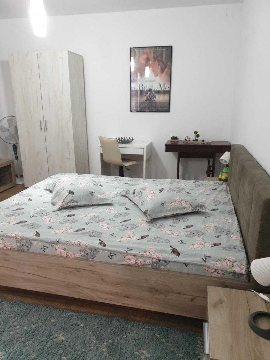 Casa Cinema - Housity
