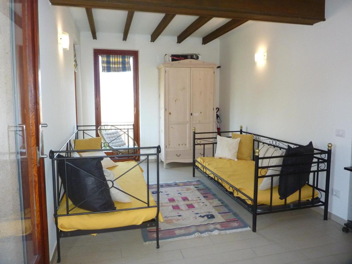 Hermitage mimosa - Housity