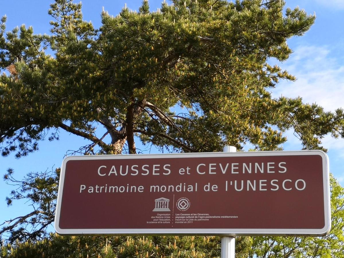 Rêve de Causse - Housity