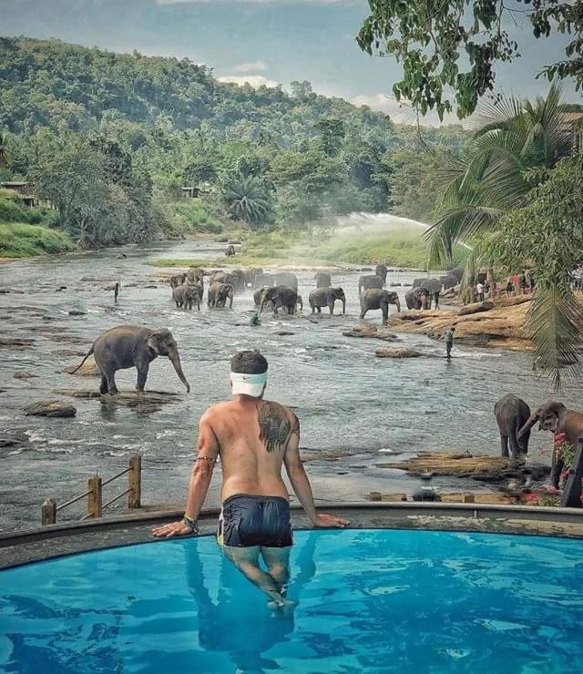 Hotel Elephant Bay - Housity