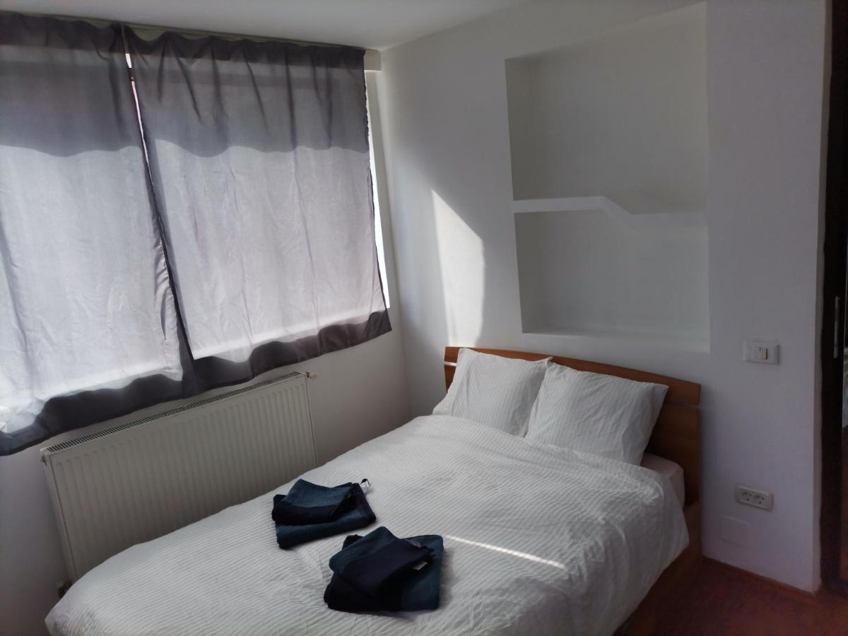 Magurele Forest - Housity