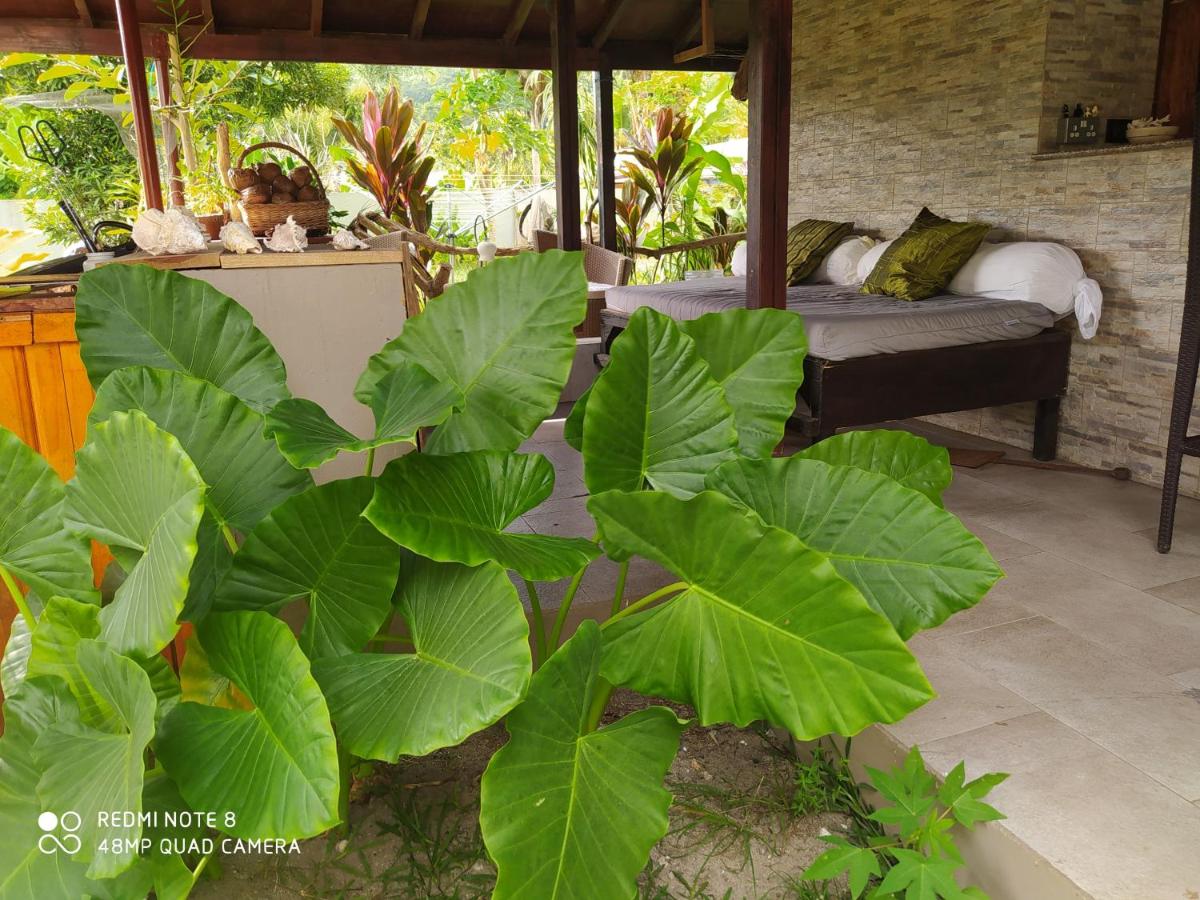 L'oasi Guest House - Housity