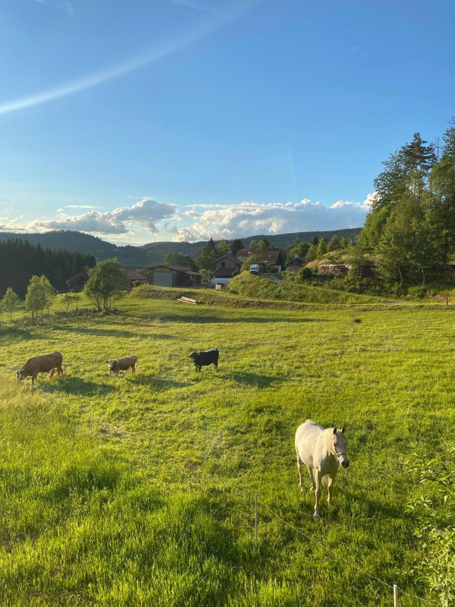 Paysage naturel près de l'hôtel