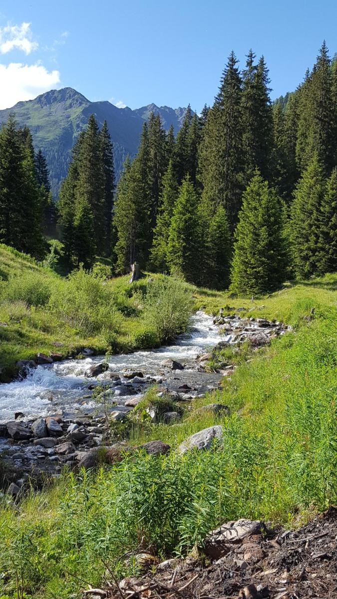 Gallfallalm - Housity