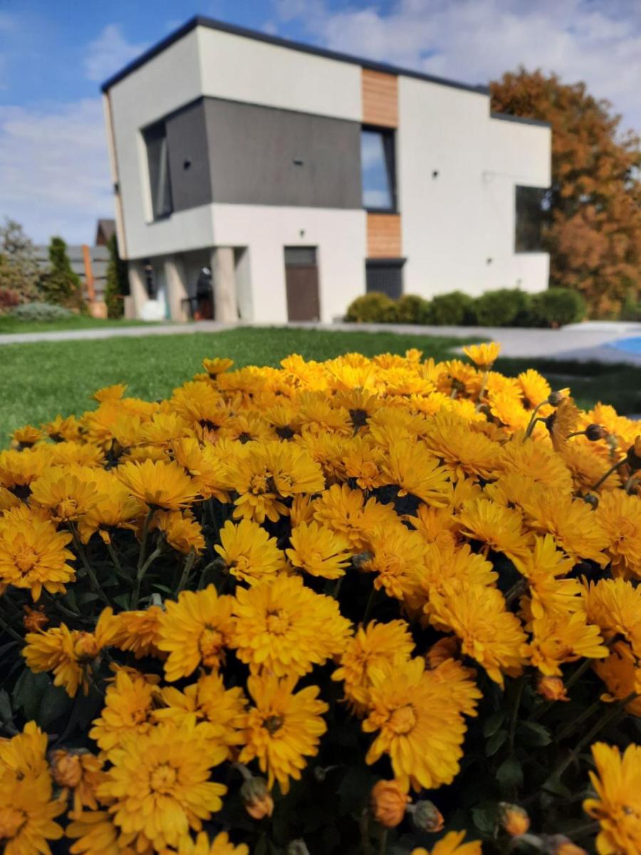 Atmosfera - Housity