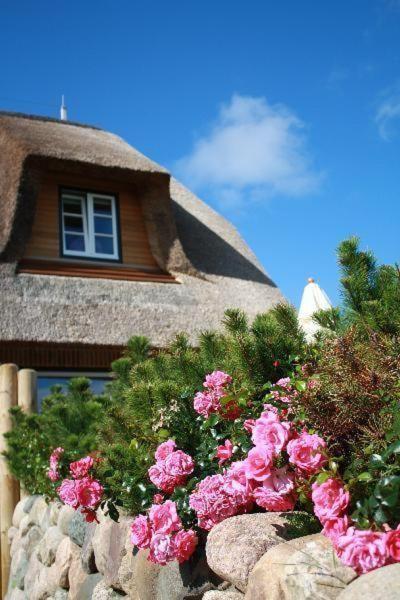 Westerheide Ferienhaus Freude - Housity