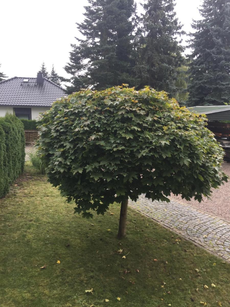 Ferienwohnung Chemnitz-Rabenstein - Hizvo