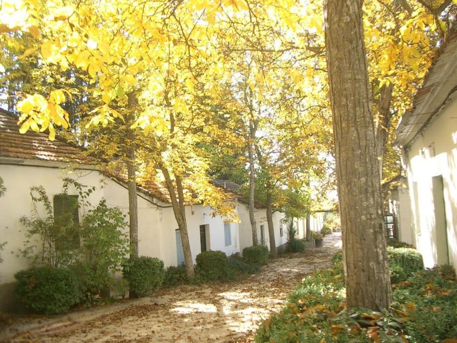 Casa Rural 3 en un fantástico legado - Housity