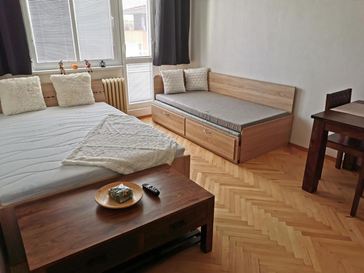 Slaný - byt 1+1 - Housity