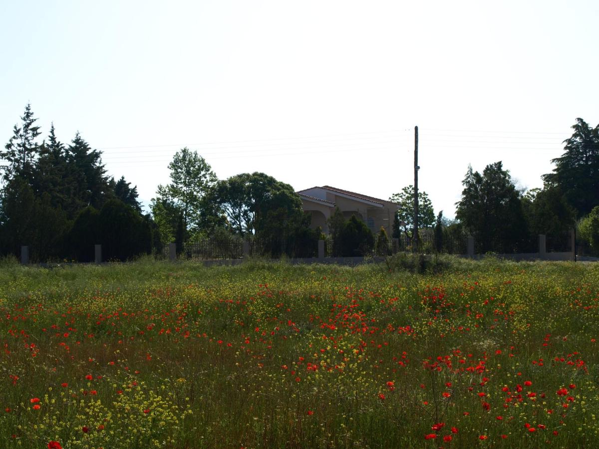 ΠΑΛΗΟΚΤΗΜΑ - Palioktima 2 - Housity