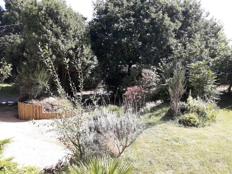 Charmante petite maison à la campagne-proche bourg - Housity