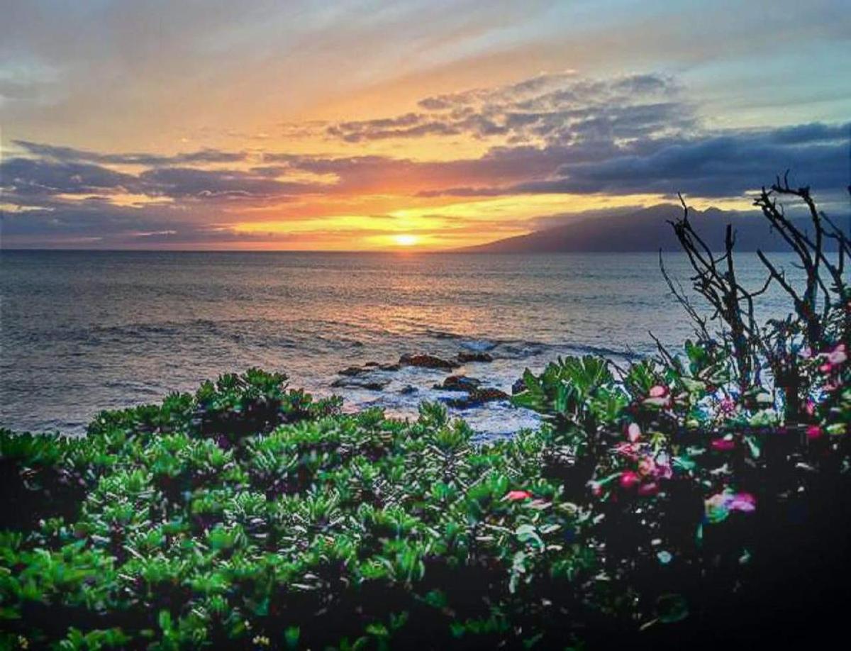Mahina Surf - Lahaina, HI by TS - Housity