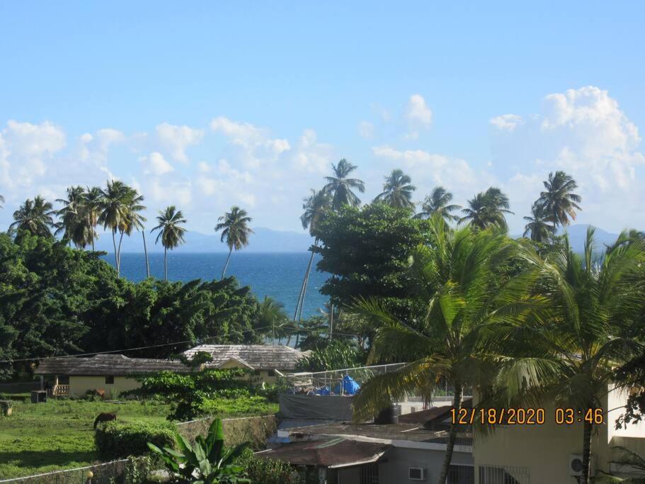 Pelicano Tropical Paraiso Samana - Housity