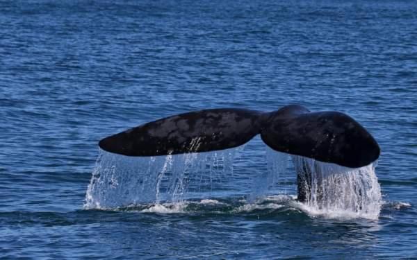 Self Catering Unit 6, Sandbaai - Housity