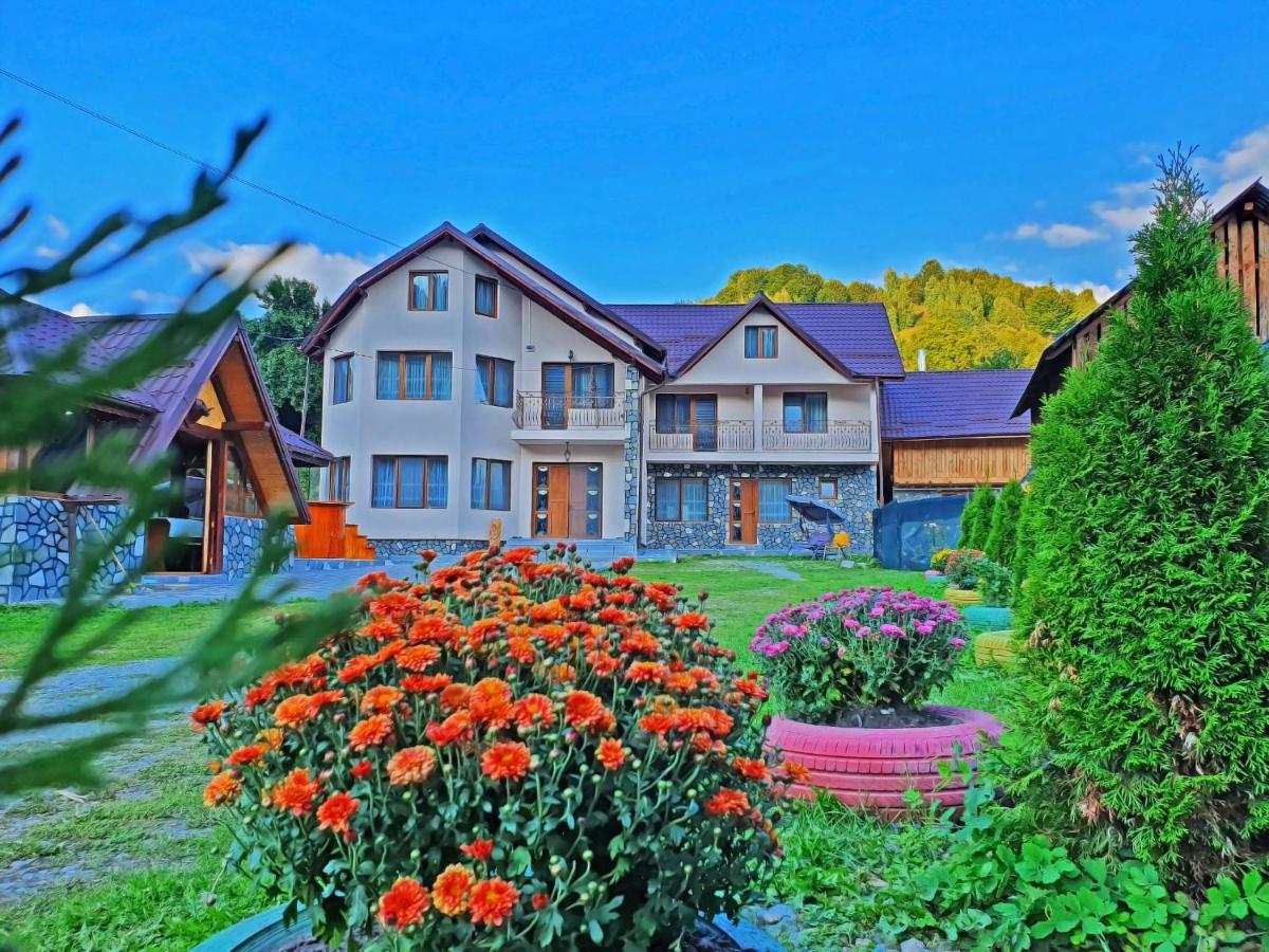 Pensiunea Dorul de Munte nr 222 - Housity