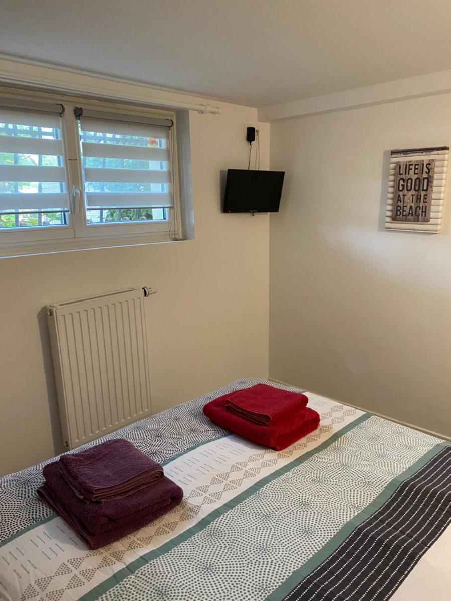 Le palmier - Housity