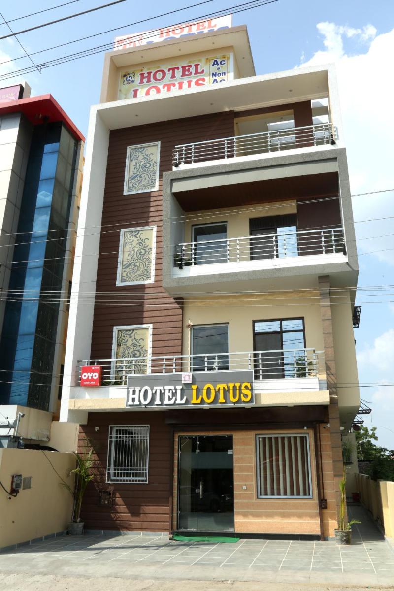 Hotel Lotus Udaipur - Housity