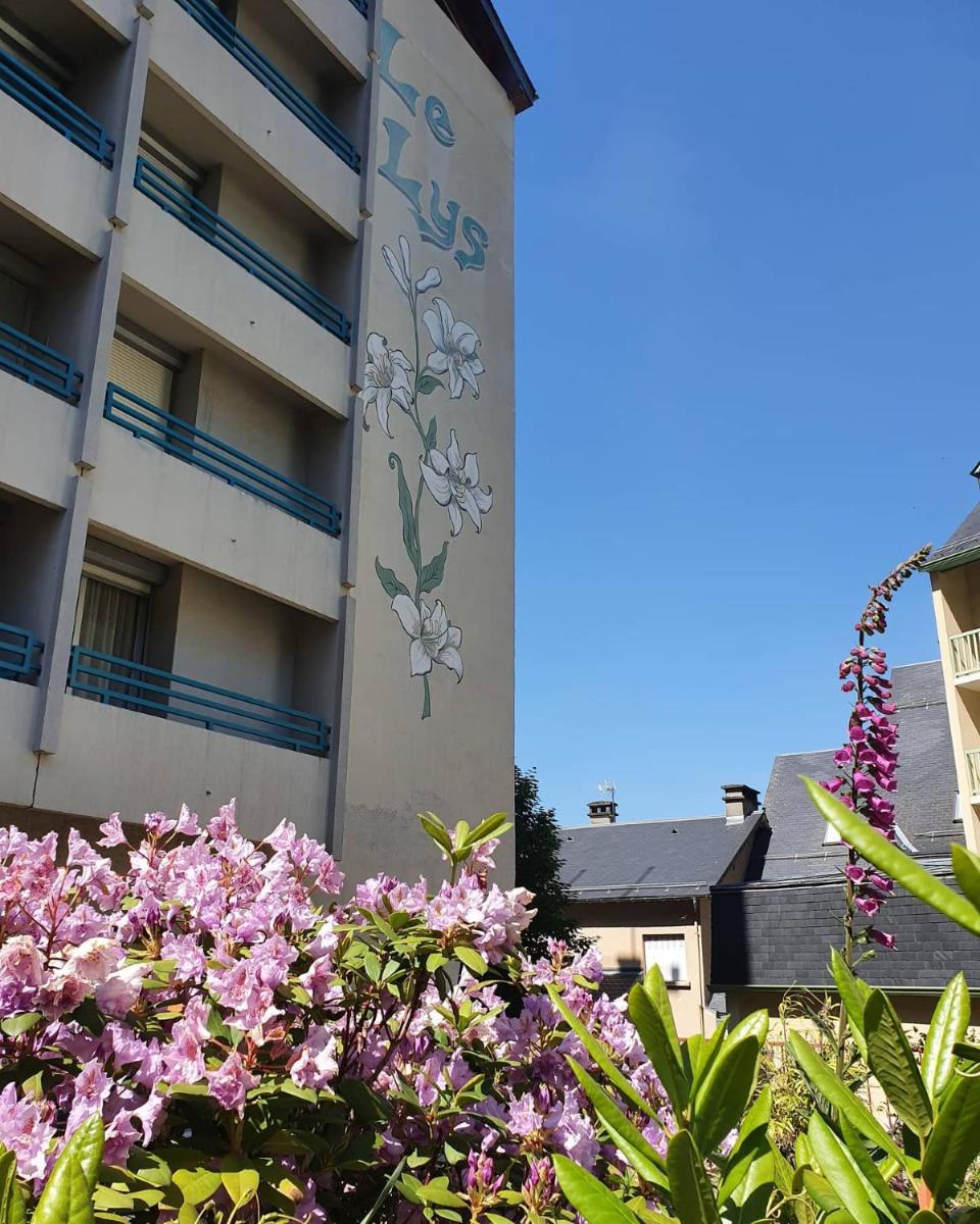 Balcon ou terrasse dans l'établissement Hôtel-Résidence Le Lys