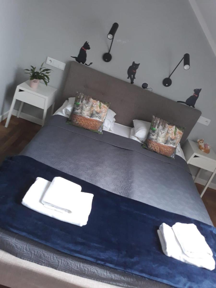 Apartamenty Koci Ogon - Housity