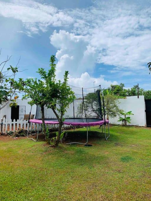 Villa Francisco - Housity