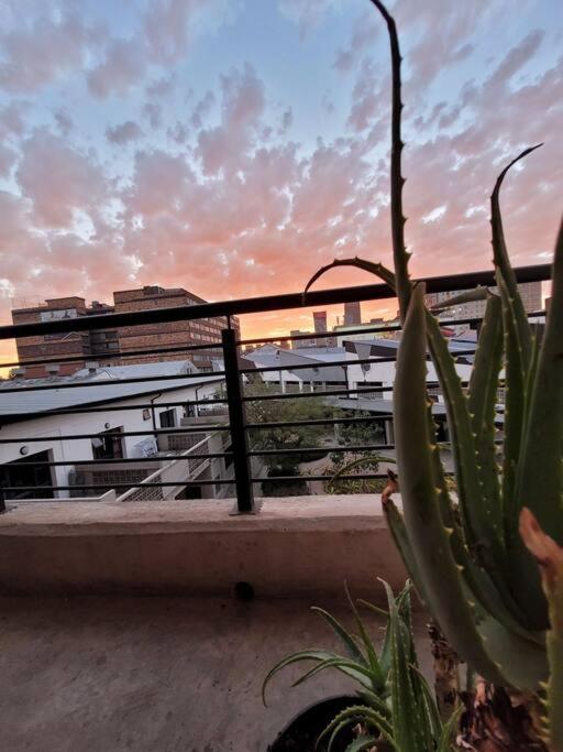 Trendy apartment @ maboneng - Housity