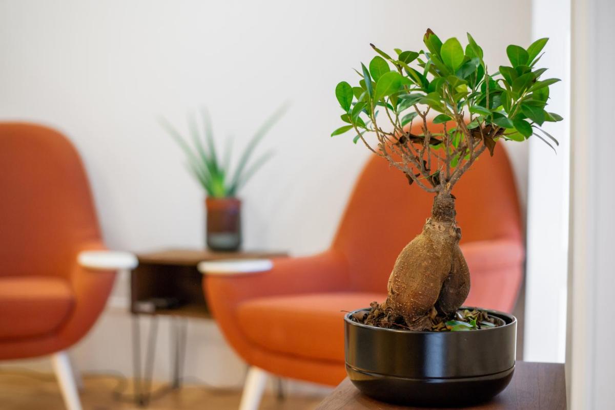 Low Cost Parking - Private Garden - Almada 392 - Housity