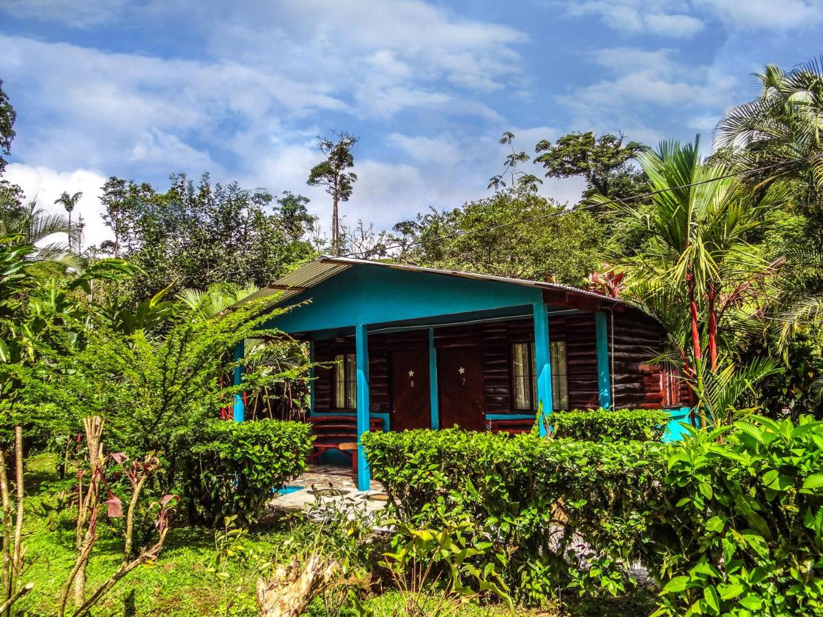 Cabinas Río Celeste La Amistad - Housity