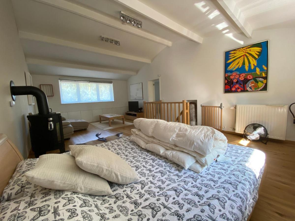 Charming house in the woods with private wellness - Housity