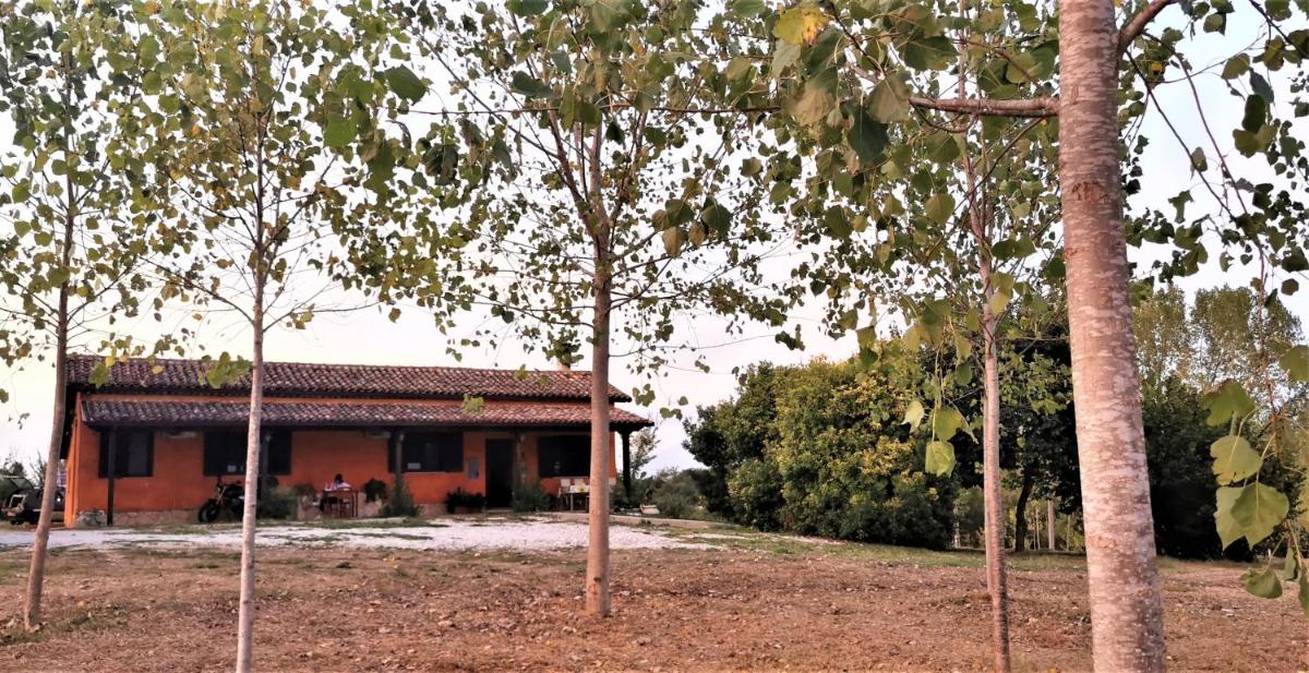Il girasole b&b - Housity