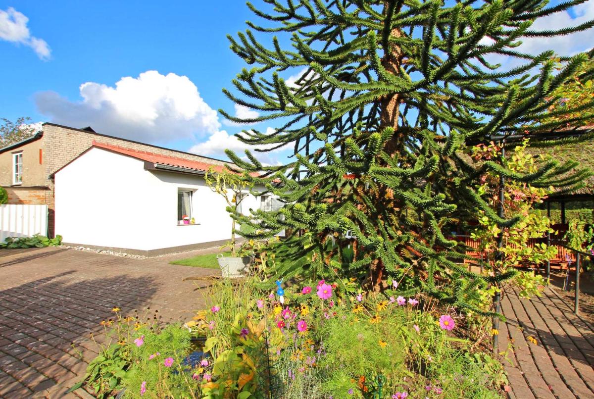 Ferienhaus Garz RUEG 801 - Housity