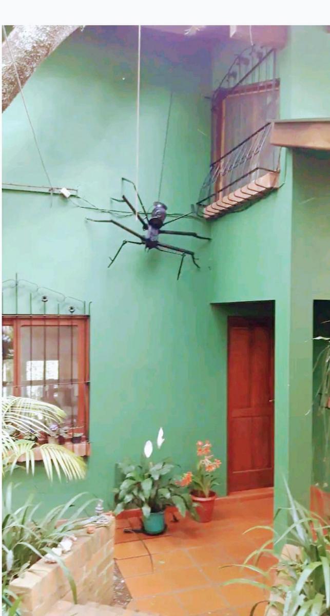 Jardín de Naipí - Housity