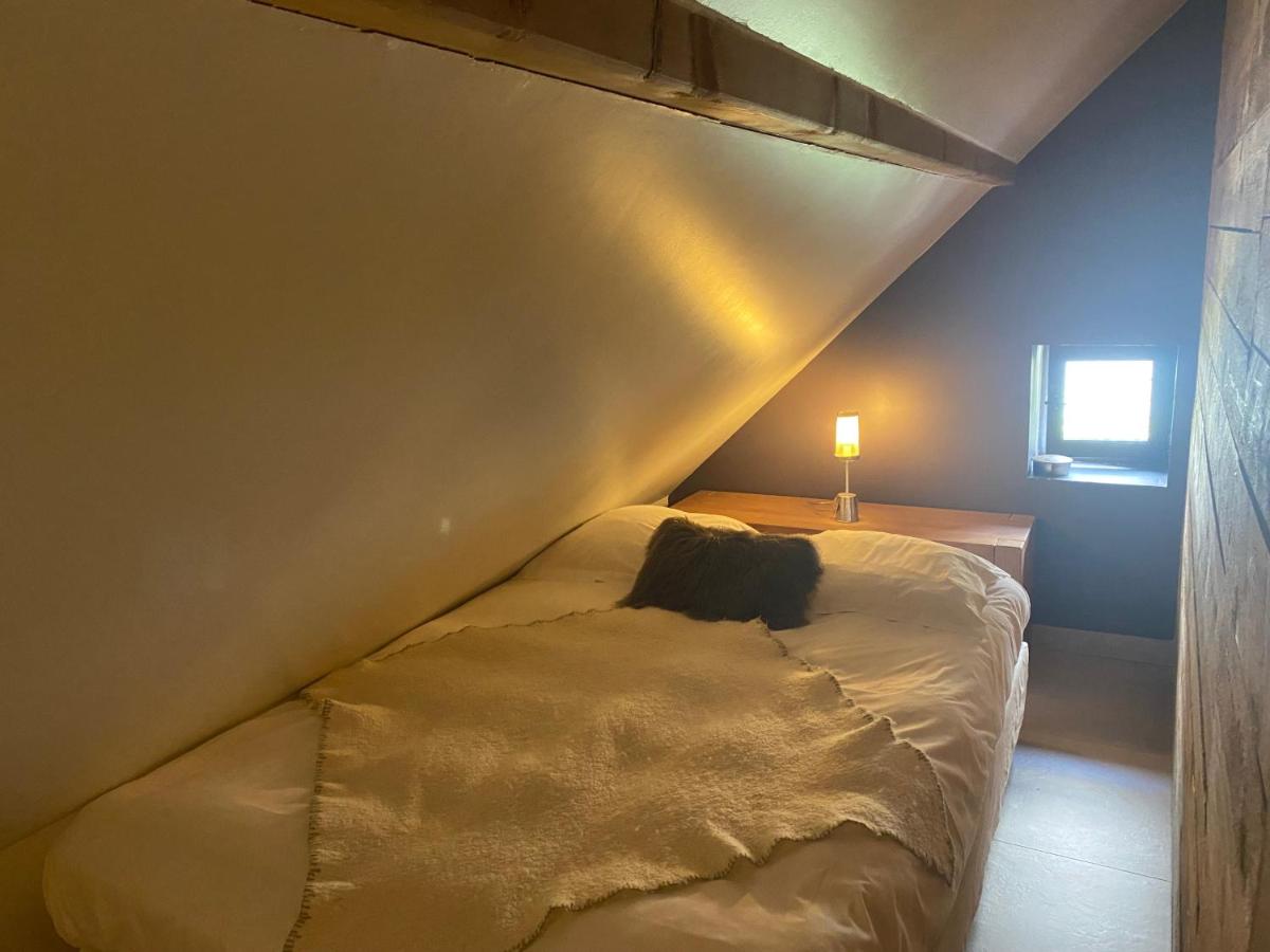 Gite appartement Domaine du Chainet - Housity