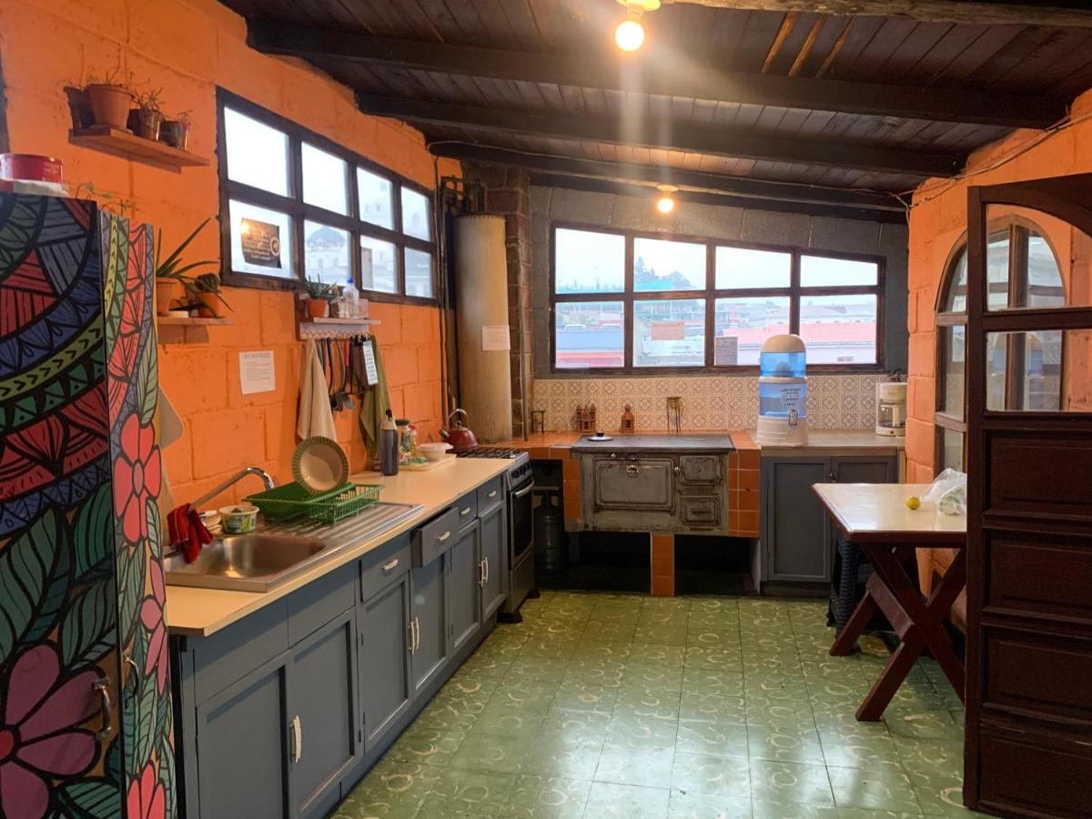 Kasa Kiwi Hostel & Travel Agency - Housity
