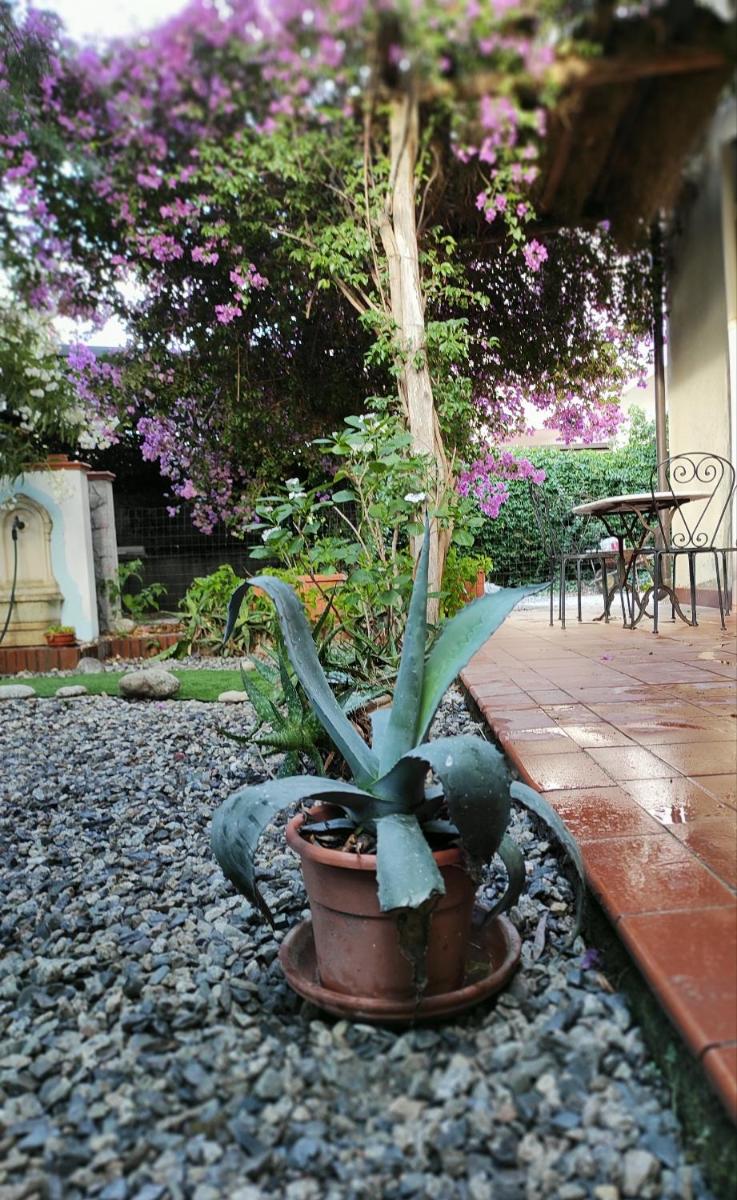 casa d'amare - Housity