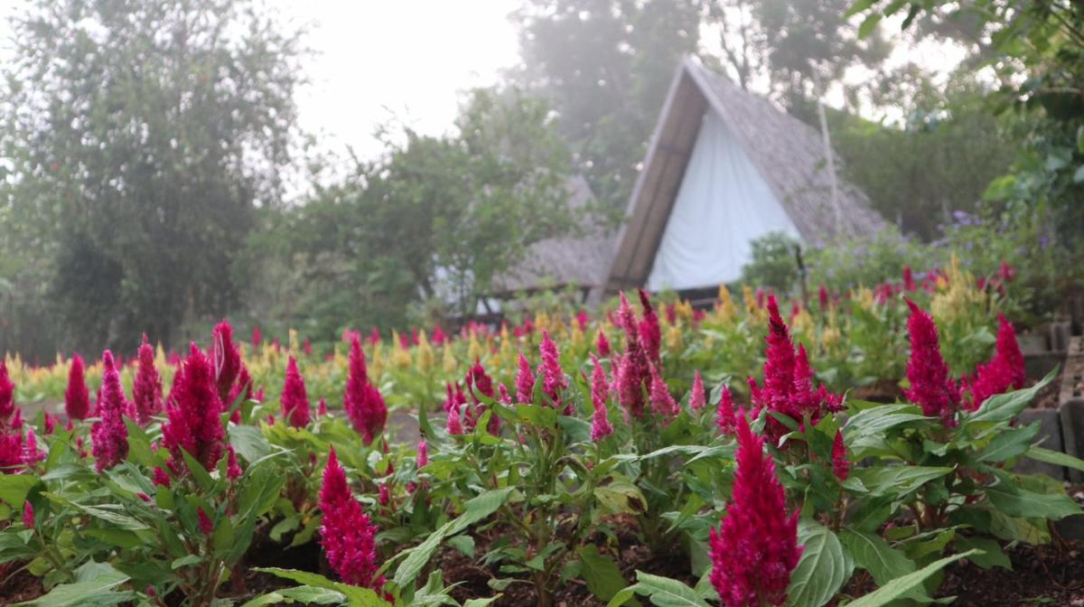 บ้านไร่ชายทุ่ง - Housity