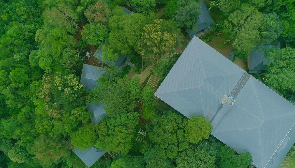 an overhead view of a forest with a blue umbrella at Elephant Passage in Munnar