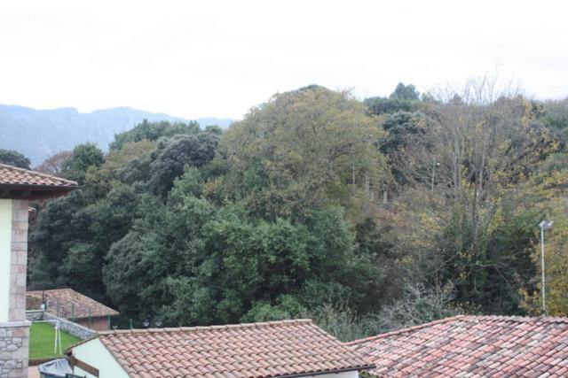 EL JARDÍN DE ALEYDA, VV VACACIONAL - Housity