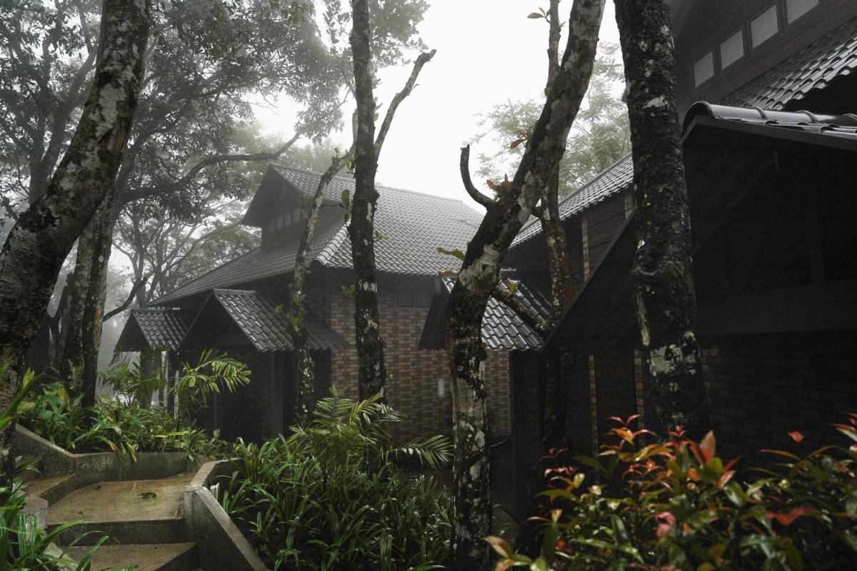 a house in the rain with trees and plants at Elephant Passage in Munnar